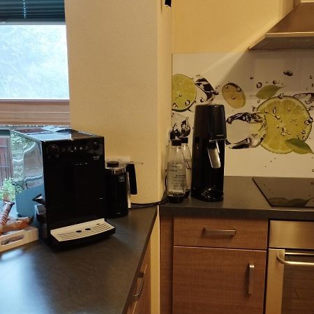 Nichtraucherferienwohnung-Neckarblick Ze-2022-74-Wz-118A Heidelberg Eksteriør bilde