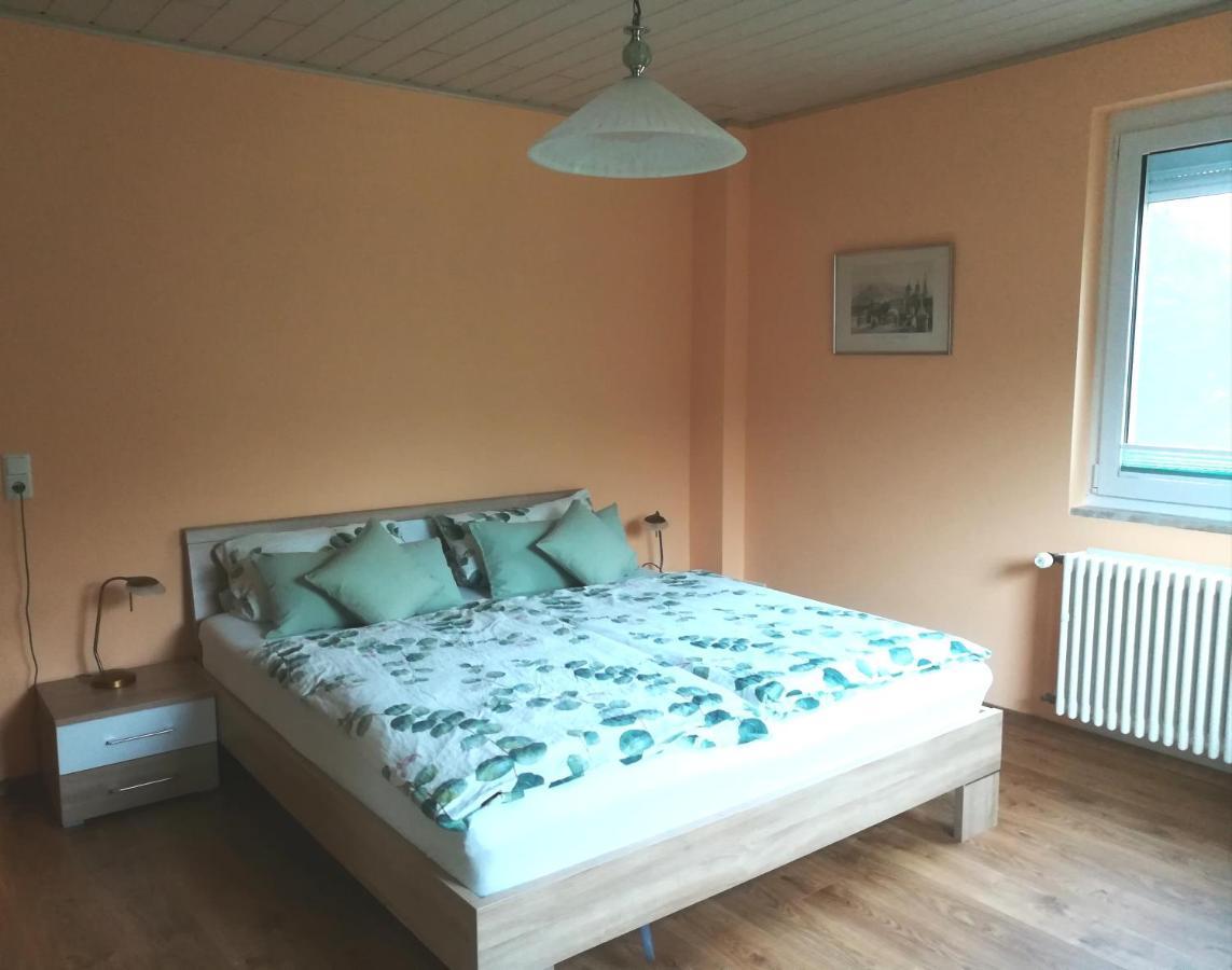 Nichtraucherferienwohnung-Neckarblick Ze-2022-74-Wz-118A Heidelberg Eksteriør bilde