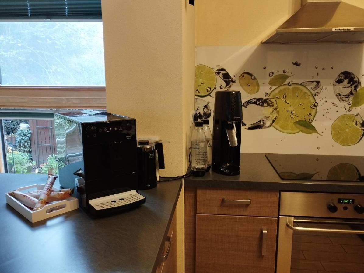 Nichtraucherferienwohnung-Neckarblick Ze-2022-74-Wz-118A Heidelberg Eksteriør bilde