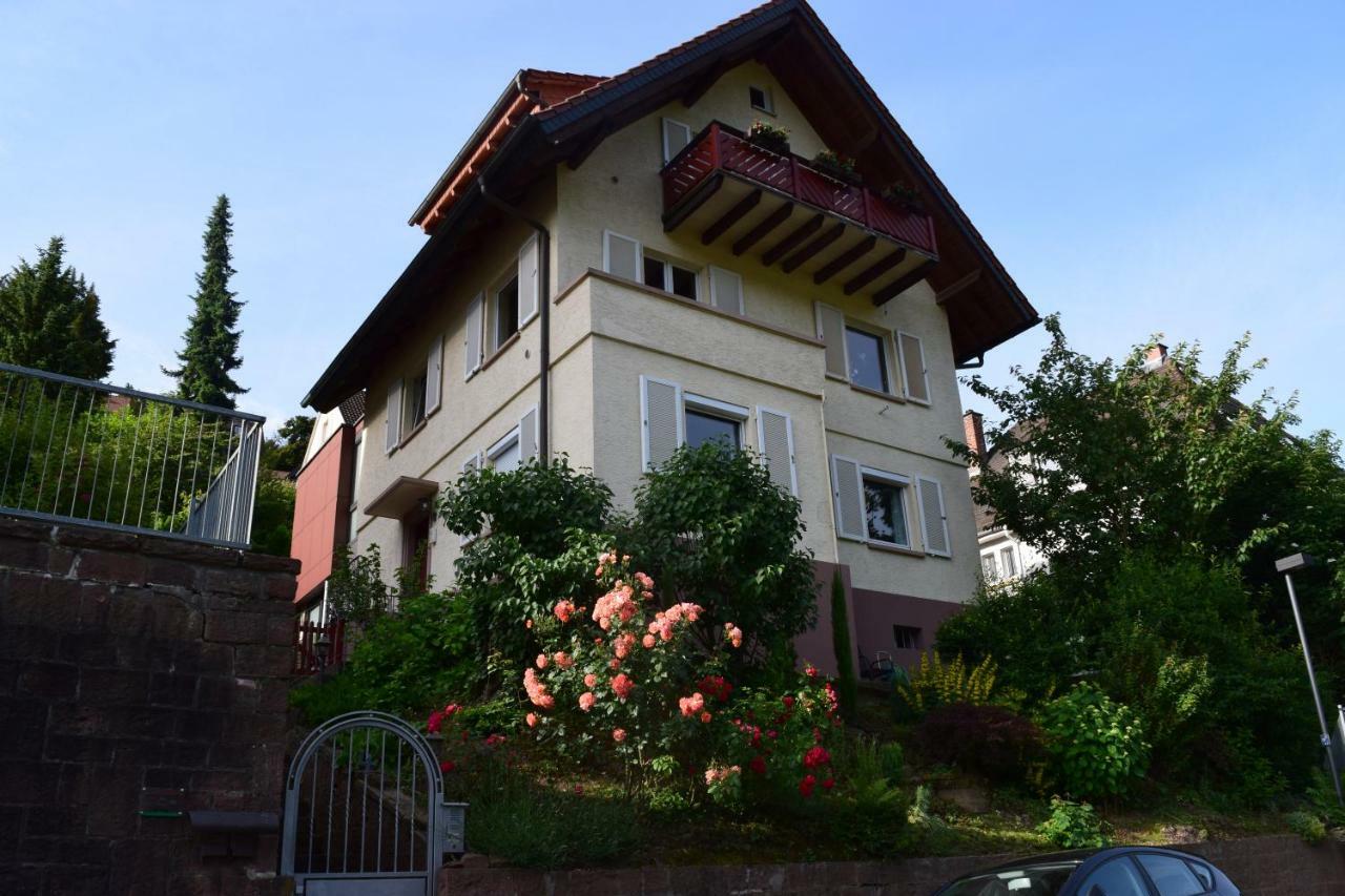 Nichtraucherferienwohnung-Neckarblick Ze-2022-74-Wz-118A Heidelberg Eksteriør bilde
